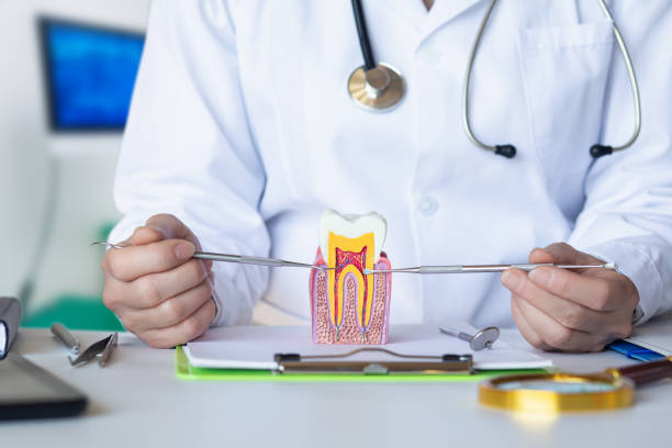 Best Emergency Treatment for Toothache in Richmond, UT